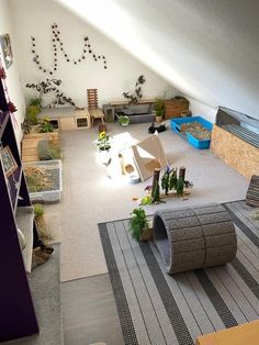 an overhead view of a living room with plants and other things in the space around it