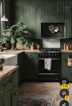 a kitchen with green cabinets and wooden floors