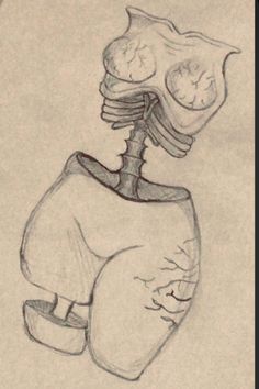 a drawing of a human body with the stomach exposed