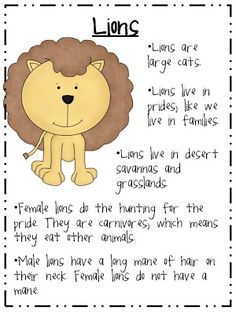 a lion poem with the words lions are large cats, lions live in prides, and