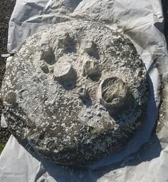 a rock with holes in it sitting on top of a piece of white wax paper