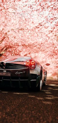 a sports car parked in front of a tree with red leaves