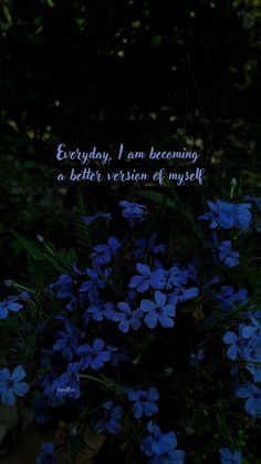 blue flowers with the words everyday, i am becoming a better version of mystify