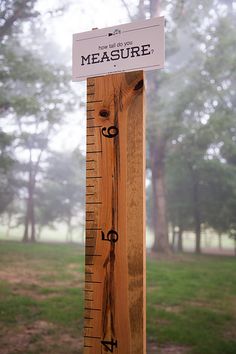 a tall wooden ruler sitting on top of a green field next to a forest filled with trees