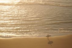 a bird is standing on the beach by the water's edge as the sun goes down