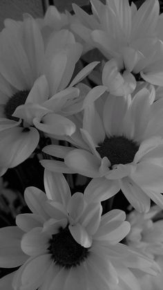 black and white photograph of flowers in a vase