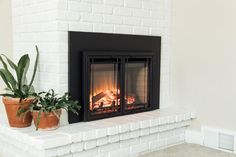 a fireplace with two potted plants next to it