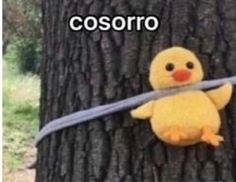 a stuffed toy duck tied to a tree with the caption, cosoro