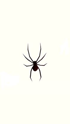 a black widow spider in the middle of it's web on a white background