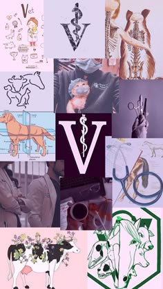 a collage of various pictures with the letter v in it's center and symbols on each side