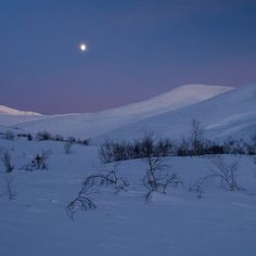 the moon shines brightly in the sky over a snowy landscape