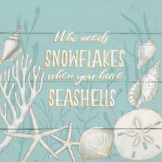 a wooden sign with seashells on it and the words, who needs snowflakes when you have seashells