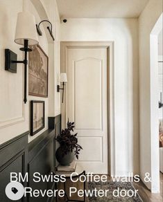 a hallway with white walls and black trim on the door, along with a potted plant