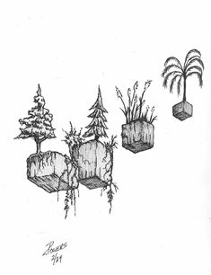 an ink drawing of trees and rocks with plants growing out of the rocks on each side