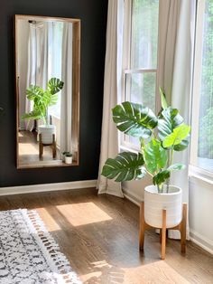 a living room filled with furniture and a large mirror on the wall next to a potted plant