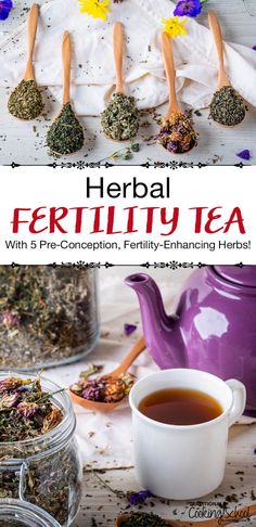 It's just as important to nourish your body prior to conception as it is during pregnancy, especially if you're trying to conceive or struggle with infertility. Nourish yourself with this homemade herbal fertility tea with 5 pre-conception, fertility-boosting herbs! #womenshealth #fertility #herbs #natural #pregnancy Fertility Boosters, Nourish Yourself, Red Raspberry Leaf, Tonic Recipe, Raspberry Tea