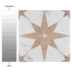 a white and grey color scheme with an image of a star