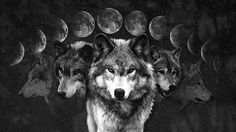 three wolfs standing in front of the moon with their heads turned to look like they are looking at something