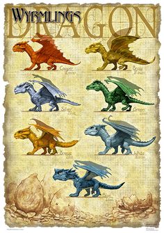 a poster with different types of dinosaurs on it