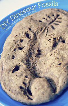 a close up of a cookie on a plate with the words diy dinosaur fossils