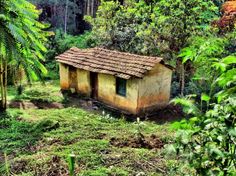 an old house in the middle of some trees and bushes, surrounded by greenery