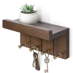 a potted plant sitting on top of a wooden shelf with keys hanging from it