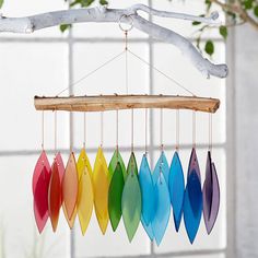 a rainbow wind chime hanging from a tree branch in front of a white wall