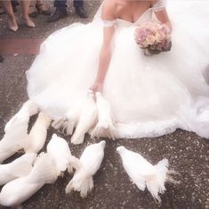 a woman in a wedding dress sitting on the ground surrounded by dead white birds and flowers