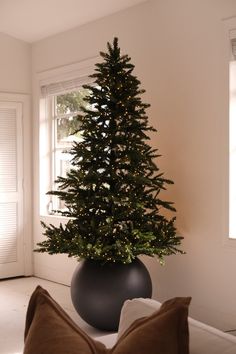 a small christmas tree in a black pot on a white couch with pillows and a window behind it