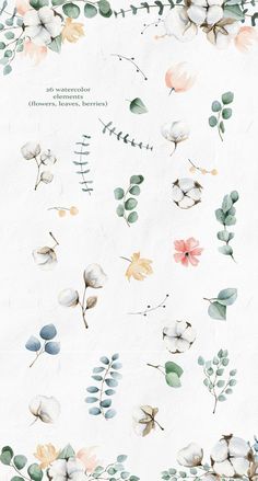 watercolor flowers and leaves on white paper with text that reads,'the wildflower collection '