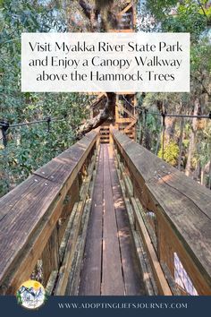 a wooden bridge with trees in the background and text that reads visit makaa river state park and enjoy a canopy walk above the hammock trees