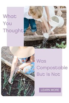 What you thought was compostable… but is not Sustainability Tips, Household Management, Composting, Raised Bed