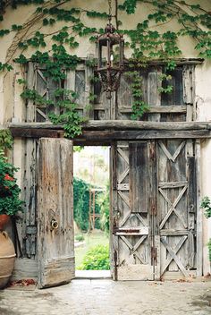 an old wooden door with vines growing on it and potted plants in the foreground