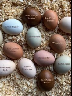 an assortment of eggs with names on them