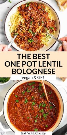 the best one pot lentil bolognzoe recipe