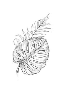 a black and white drawing of a leaf