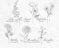 flowers drawn on paper with the names of them