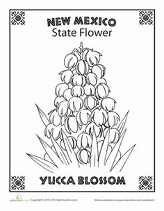 the new mexico state flower coloring page