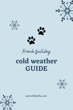 a blue background with snowflakes and the words cold weather guide