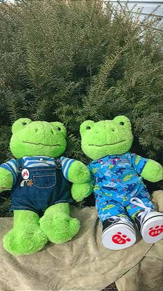 two stuffed animals sitting next to each other in front of some bushes and trees on a blanket