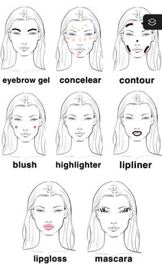 Natural Makeup Placement, Clean Girl Makeup Tutorial Drawing, Concealer Placement Chart, Makeup Placement Face, Makeup Tutorials Step By Step, Makeup Routine Guide, Concealer Tips, Asian Makeup Tutorials, Korean Makeup Tips