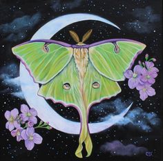 a painting of a large green moth sitting on top of a crescent moon with purple flowers