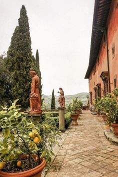 an orange tree and some potted plants in front of a red building with statues on it