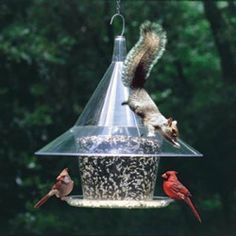 two birds are eating from a bird feeder