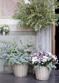 three baskets filled with flowers sitting on top of a table