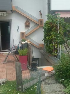 an outside view of a house with stairs and plants in the yard, including a cat