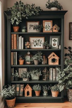 a bookshelf filled with potted plants and pictures