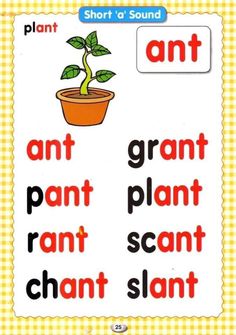 a poster with the words ant and plant in it