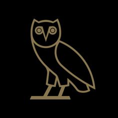 an owl is sitting on top of a sign that says, happy 25th birthday drizzy