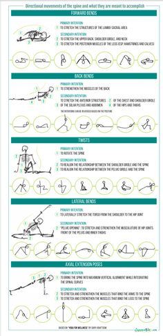 the instructions for how to use an exercise machine in your home or office, including exercises and